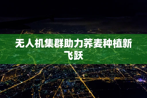 无人机集群助力荞麦种植新飞跃