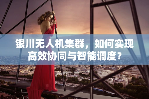 银川无人机集群，如何实现高效协同与智能调度？