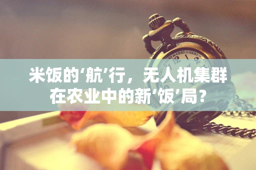 米饭的‘航’行，无人机集群在农业中的新‘饭’局？