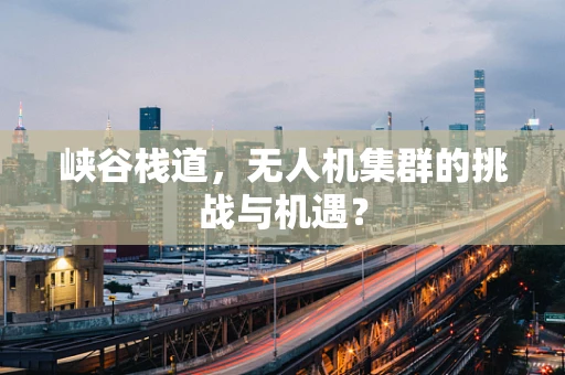 峡谷栈道，无人机集群的挑战与机遇？