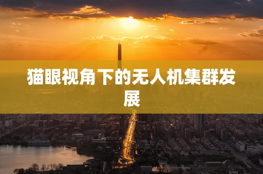 猫眼视角下的无人机集群发展