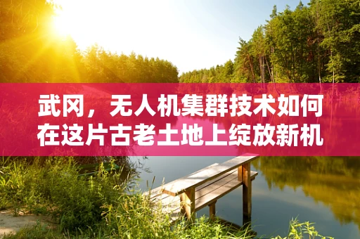 武冈，无人机集群技术如何在这片古老土地上绽放新机？