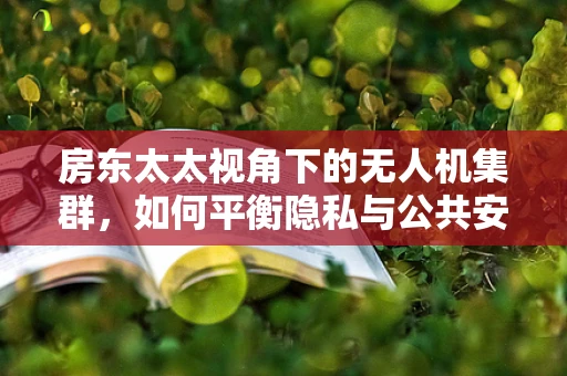 房东太太视角下的无人机集群，如何平衡隐私与公共安全？