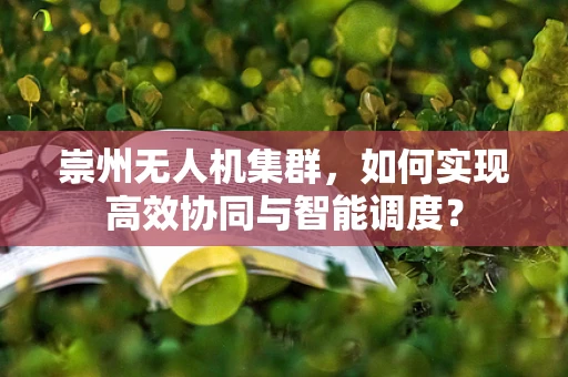 崇州无人机集群，如何实现高效协同与智能调度？