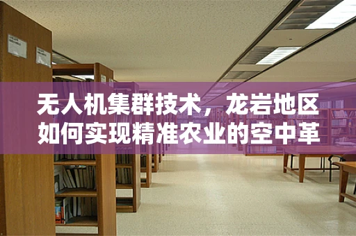 无人机集群技术，龙岩地区如何实现精准农业的空中革命？