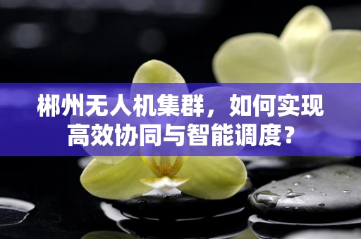 郴州无人机集群，如何实现高效协同与智能调度？