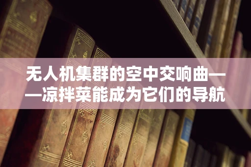无人机集群的空中交响曲——凉拌菜能成为它们的导航密码吗？