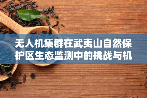 无人机集群在武夷山自然保护区生态监测中的挑战与机遇