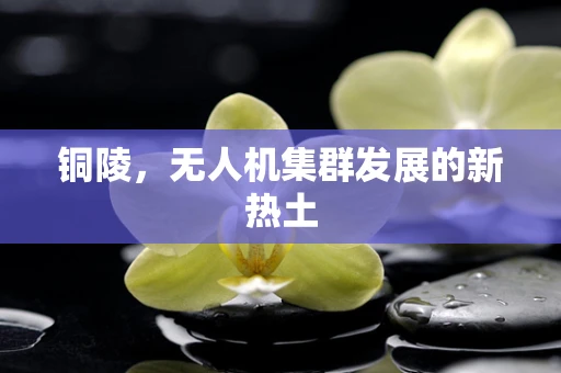 铜陵，无人机集群发展的新热土