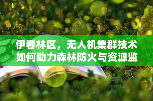 伊春林区，无人机集群技术如何助力森林防火与资源监测？