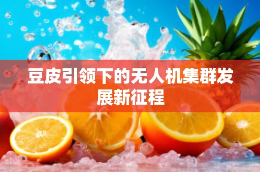 豆皮引领下的无人机集群发展新征程