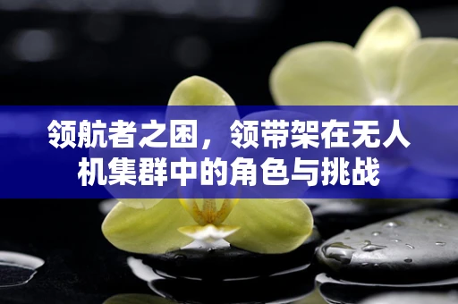 领航者之困，领带架在无人机集群中的角色与挑战