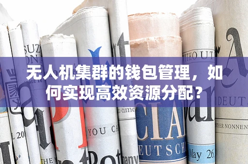 无人机集群的钱包管理，如何实现高效资源分配？