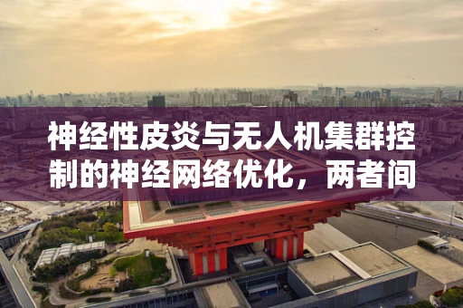 神经性皮炎与无人机集群控制的神经网络优化，两者间有何隐秘联系？