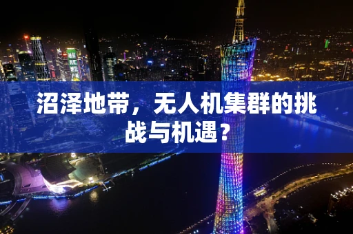 沼泽地带，无人机集群的挑战与机遇？