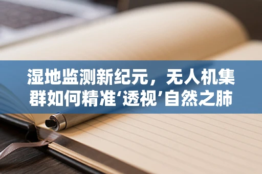 湿地监测新纪元，无人机集群如何精准‘透视’自然之肺？