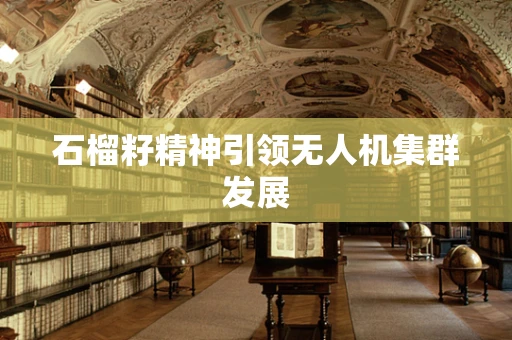 石榴籽精神引领无人机集群发展