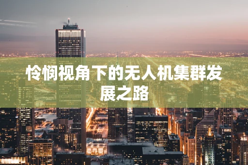 怜悯视角下的无人机集群发展之路