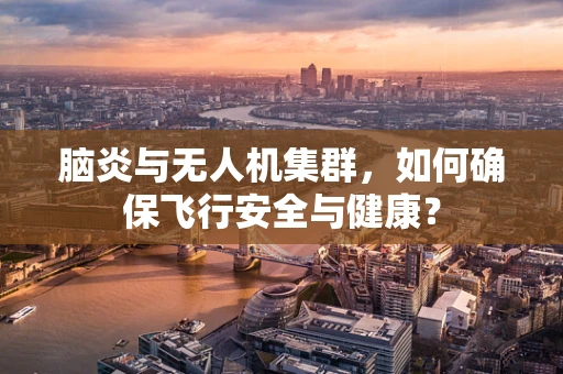 脑炎与无人机集群，如何确保飞行安全与健康？