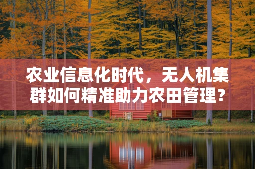 农业信息化时代，无人机集群如何精准助力农田管理？