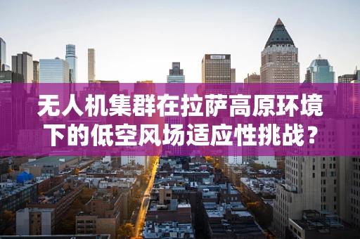 无人机集群在拉萨高原环境下的低空风场适应性挑战？