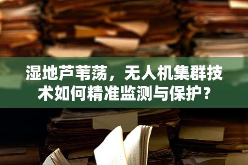 湿地芦苇荡，无人机集群技术如何精准监测与保护？