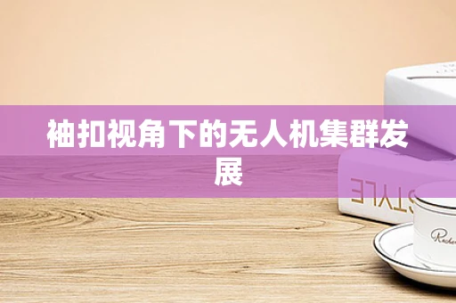 袖扣视角下的无人机集群发展