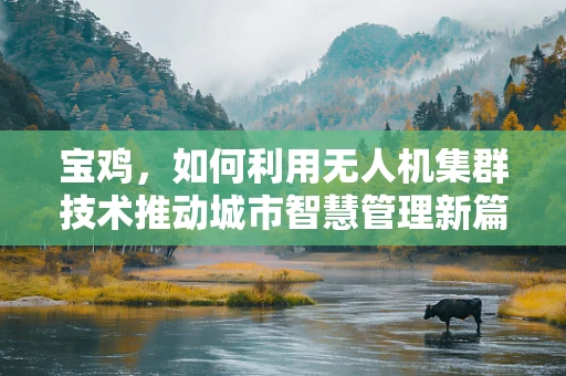 宝鸡，如何利用无人机集群技术推动城市智慧管理新篇章？
