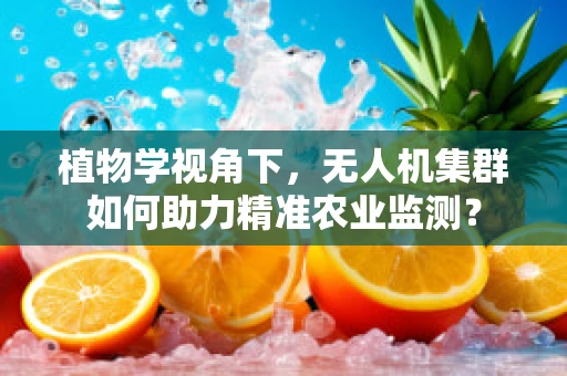 植物学视角下，无人机集群如何助力精准农业监测？