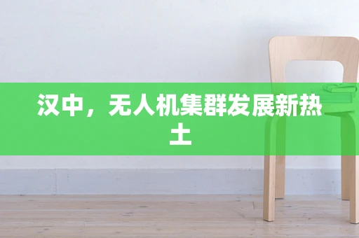 汉中，无人机集群发展新热土