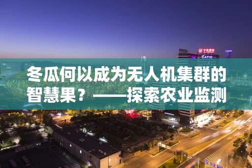 冬瓜何以成为无人机集群的智慧果？——探索农业监测新篇章