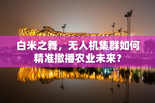 白米之舞，无人机集群如何精准撒播农业未来？