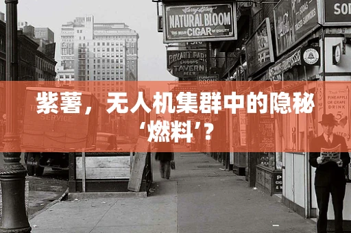 紫薯，无人机集群中的隐秘‘燃料’？