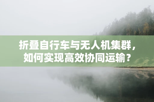 折叠自行车与无人机集群，如何实现高效协同运输？