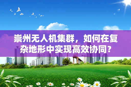崇州无人机集群，如何在复杂地形中实现高效协同？