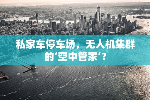 私家车停车场，无人机集群的‘空中管家’？