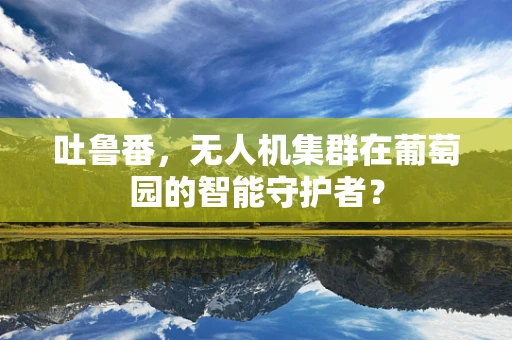 吐鲁番，无人机集群在葡萄园的智能守护者？