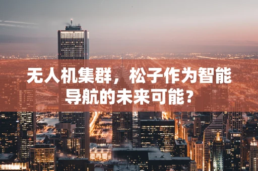 无人机集群，松子作为智能导航的未来可能？