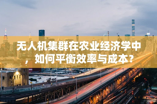 无人机集群在农业经济学中，如何平衡效率与成本？