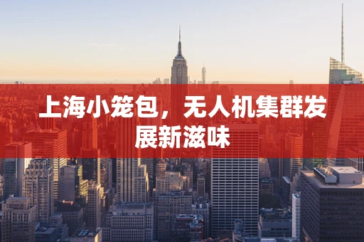 上海小笼包，无人机集群发展新滋味