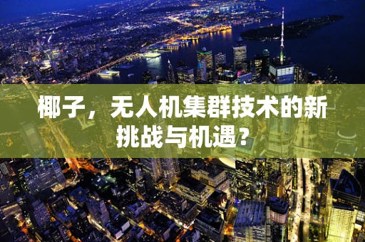 椰子，无人机集群技术的新挑战与机遇？