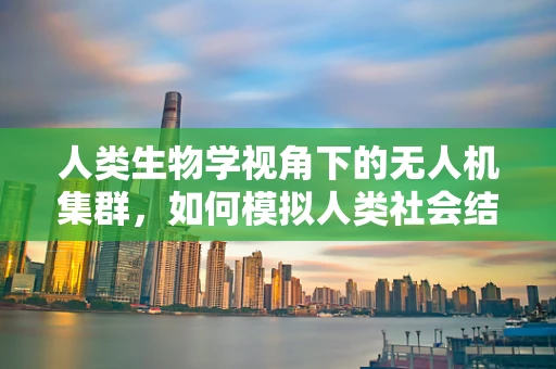 人类生物学视角下的无人机集群，如何模拟人类社会结构以优化协同作业？