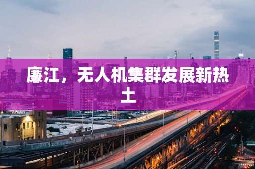 廉江，无人机集群发展新热土