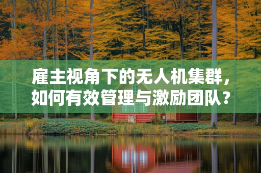 雇主视角下的无人机集群，如何有效管理与激励团队？