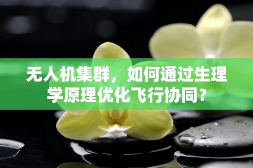 无人机集群，如何通过生理学原理优化飞行协同？