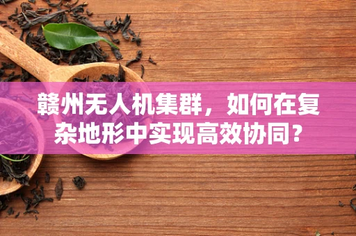 赣州无人机集群，如何在复杂地形中实现高效协同？