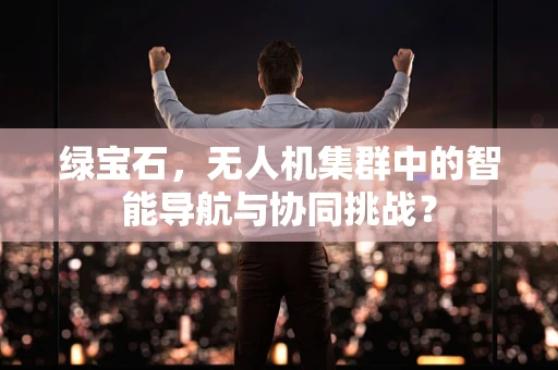 绿宝石，无人机集群中的智能导航与协同挑战？