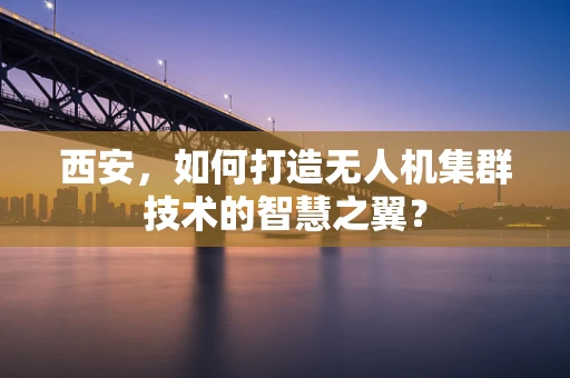 西安，如何打造无人机集群技术的智慧之翼？