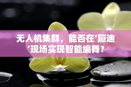 无人机集群，能否在‘蹦迪’现场实现智能编舞？