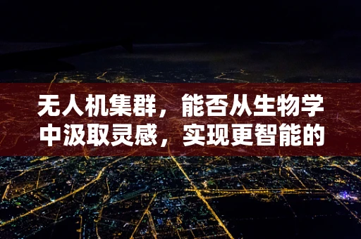 无人机集群，能否从生物学中汲取灵感，实现更智能的群舞？